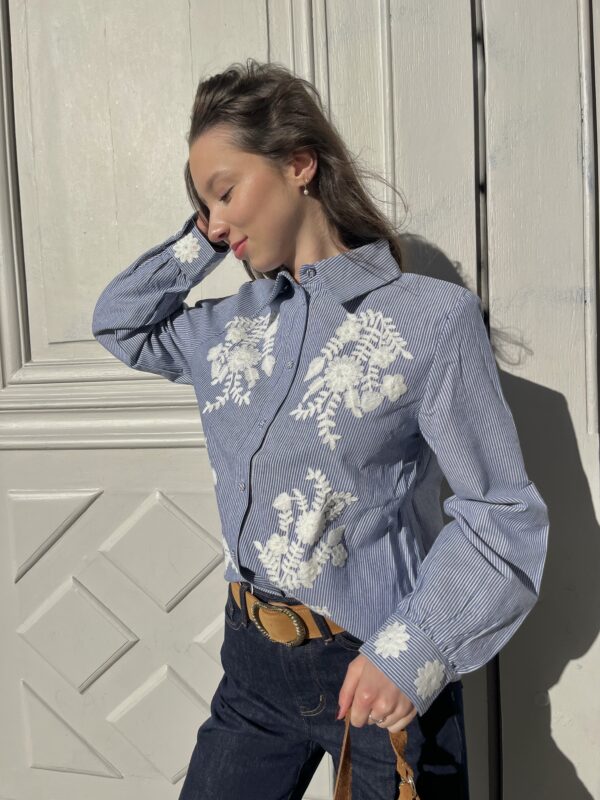 Chemise Brodée Avec Rayures 3
